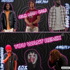 You Want Remix - by Old Man Cali