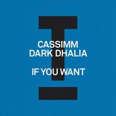 If You Want (Extended Mix)