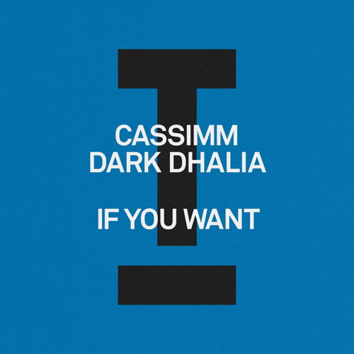If You Want (Extended Mix)