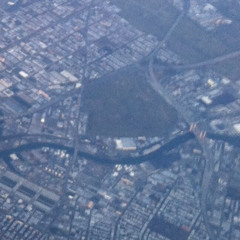 06 of RED (pineapple fanta)