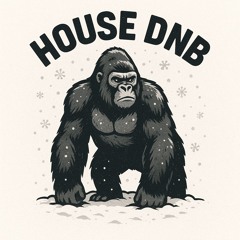 Hotel Room DNB (B2B Blxnder Remix Bootleg)