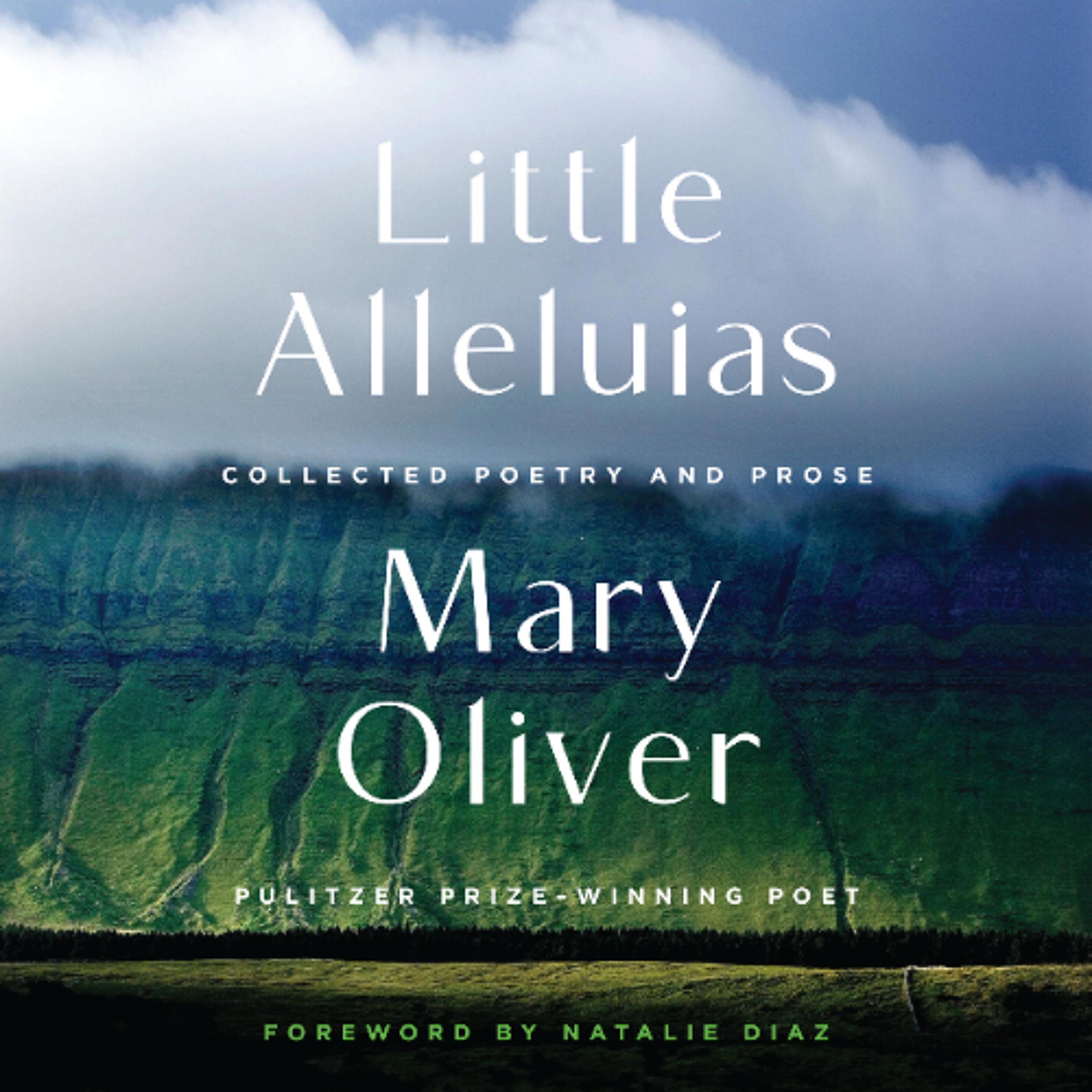 Book Friends Forever