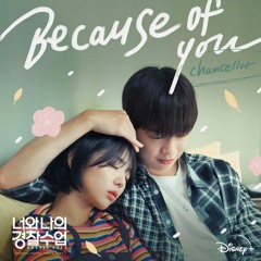 Chancellor (챈슬러) - Because of You (Rookie Cops 너와 나의 경찰수업 OST Part 1)