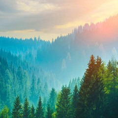 Liquid & NeuroFunk DnB Mix