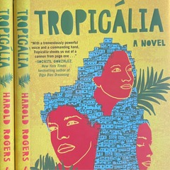 76. Harold Rogers on TROPICÁLIA (2023)