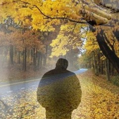 My day / Мой день