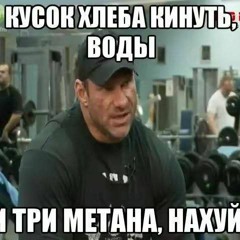 ty