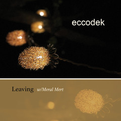 Leaving (feat. Meral Mert)