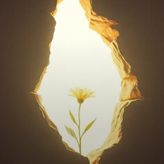 my-eyes-are-focused-on-you,-written-by-johnny-b-(remastered).mp3