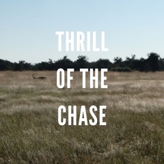 Someday Isle | Thrill of the chase