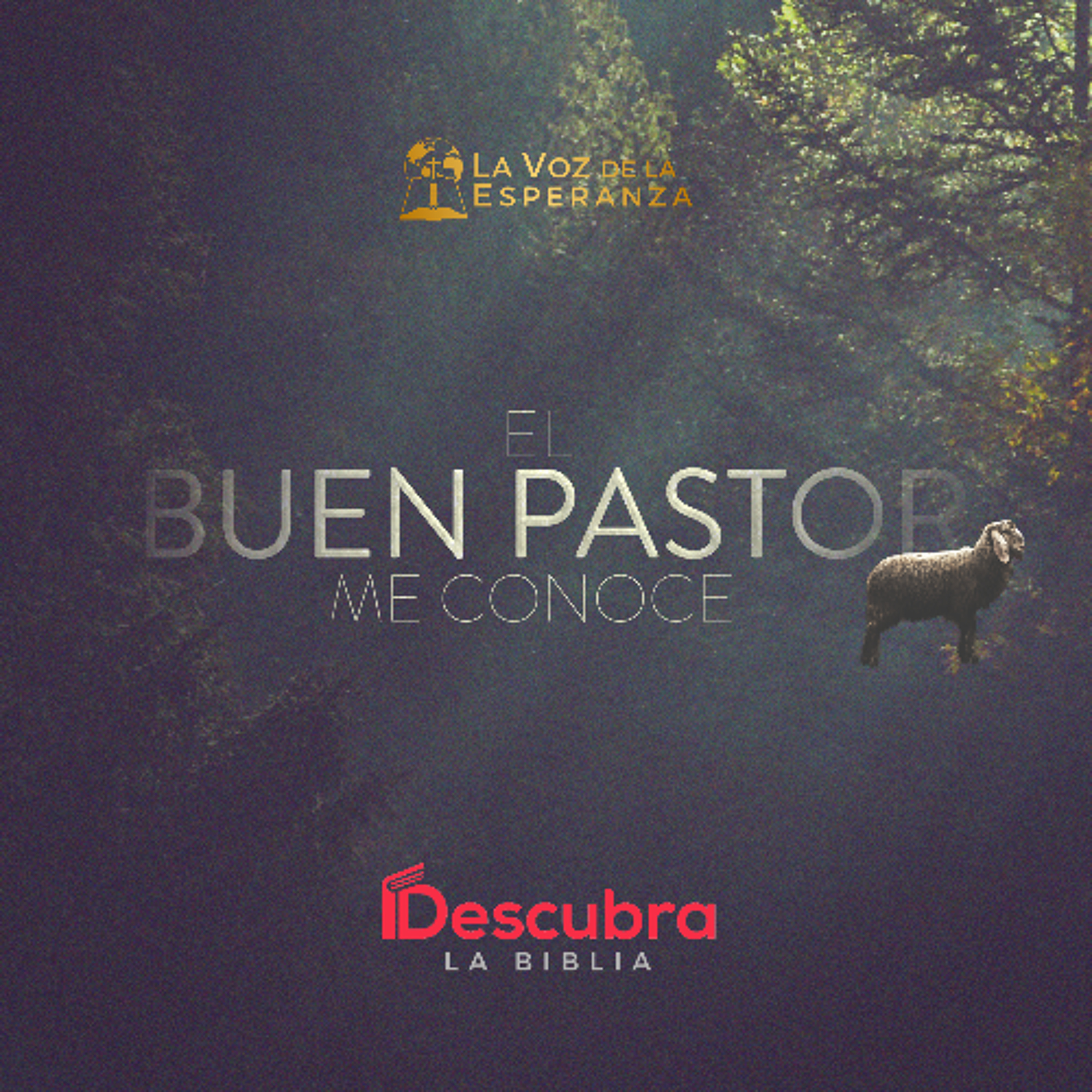 El Buen Pastor Me Conoce