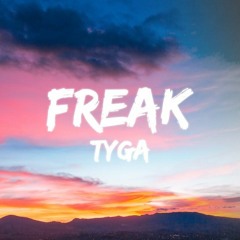 Tyga , Simon Dominic - FREAK Dance (P.Naked Mashup)