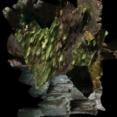 vydol - sign (edyn & path)