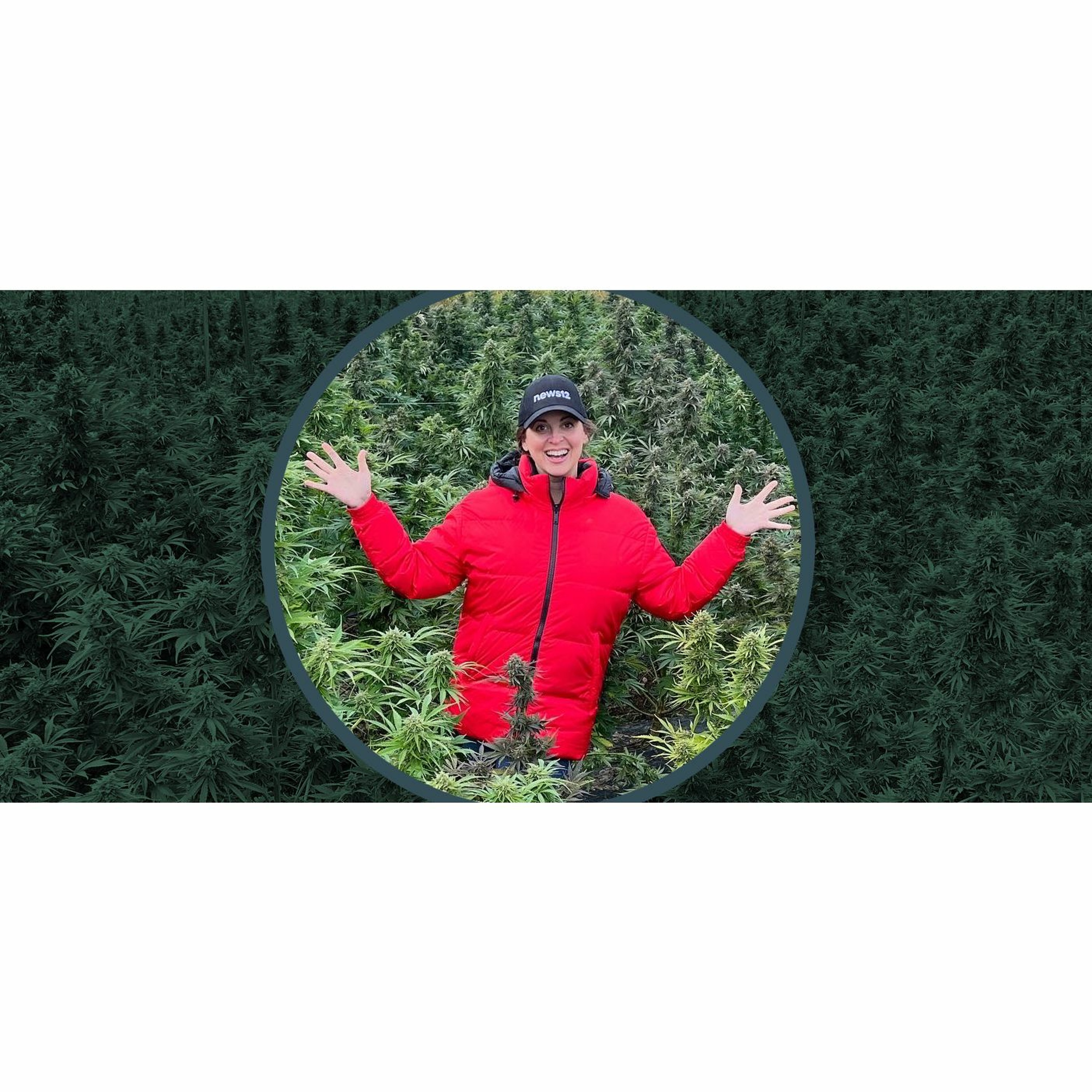 The Ganjapreneur Podcast