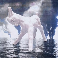 White Lamb