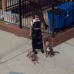 La Tiburona (Proyecto uno remix by Vile )