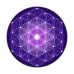 Dj Kuzen - Ecstatic Dance @ Avatar Yoga Festival 2020