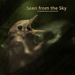 Seen from the Sky