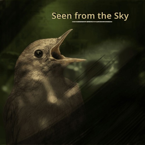 Seen from the Sky