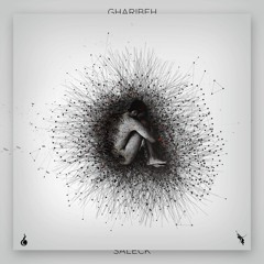 Saleck - Gharibeh [Prod. By Alani]