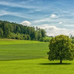 (Serena background music games 👲 FREE DOWNLOAD