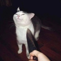 The Robloxia Until Dawn C00lkid Chase Theme