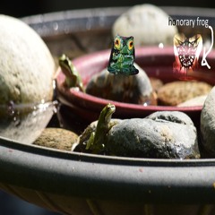 frogs in the bird bath