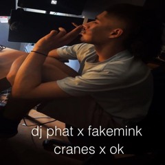 fakemink - cant handle change prod. ok **SNIPPET**