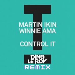 MARTIN IKIN & W. AMA - CONTROL IT (DINO LE ROY RMX)