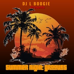 Summer Nght Grooves