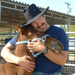 My Horse