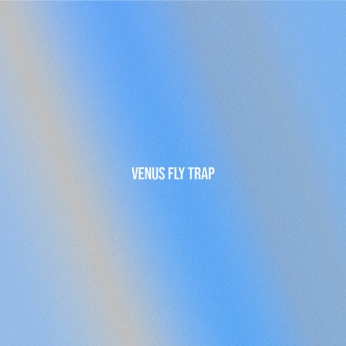 Stream brakence venus fly trap (camoufly Remix) by camoufly Listen