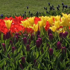 EZ Does it - 9:9:21, 4.40 PM