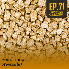 Science Facts EP.71 หินเกล็ดกันงู จริงหรือมโน?
