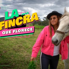 TERTULIANDO DE LA FINCRA QUE FLORECE - CRA