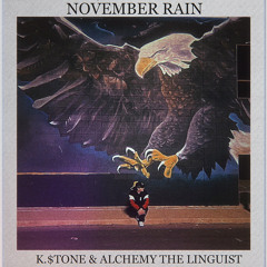NOVEMBER RAIN