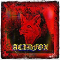 AcidFox - Von Nürnberg bis Berlin (prod. by BTZ Production) [Reupload]