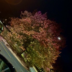 Emerald 1 - [Prod. riplucky]