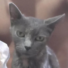 FUCK_U_2_MYSELF44444444444me.flac