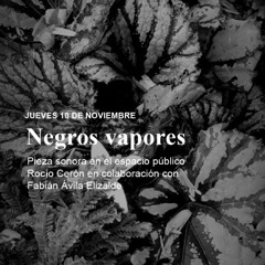 Negros Vapores