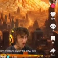 kwebbelkop in disaster