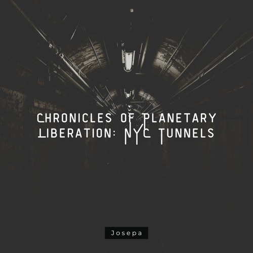 Chronicles of Planetary Liberation: NYC Tunnels