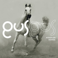 Gus Gus - Arabian Horse (Juan Sapia Edit)