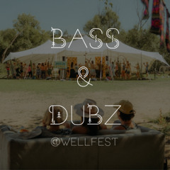 Bass and Dubz at Wellfest