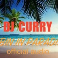 DJ CURRY - VIBIN IN PARADISE [OFFICIAL AUDIO]