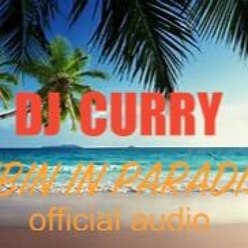 DJ CURRY - VIBIN IN PARADISE [OFFICIAL AUDIO]