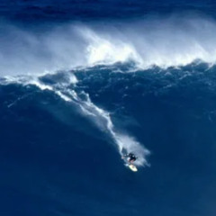 BAHA SURF Rough Cut