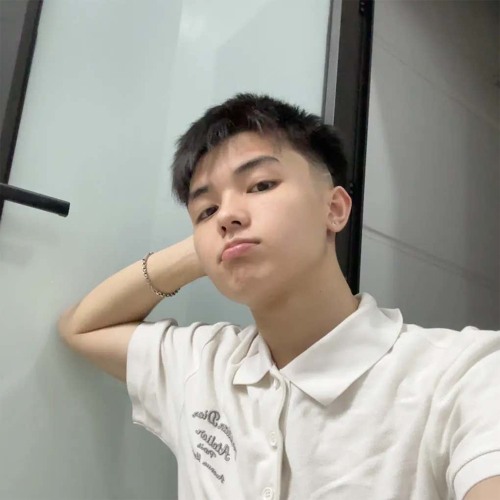 chaukohut123 bao phe