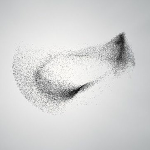 Murmuration