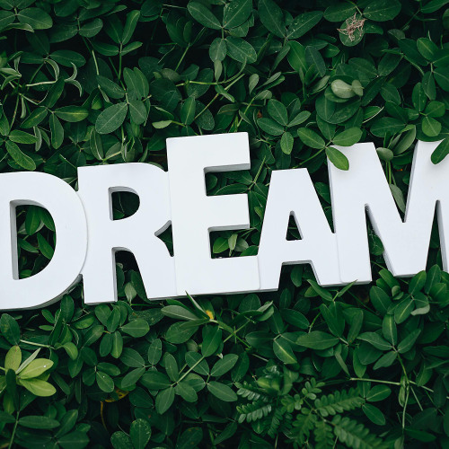 Dream